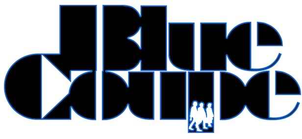 Blue Coupe logo